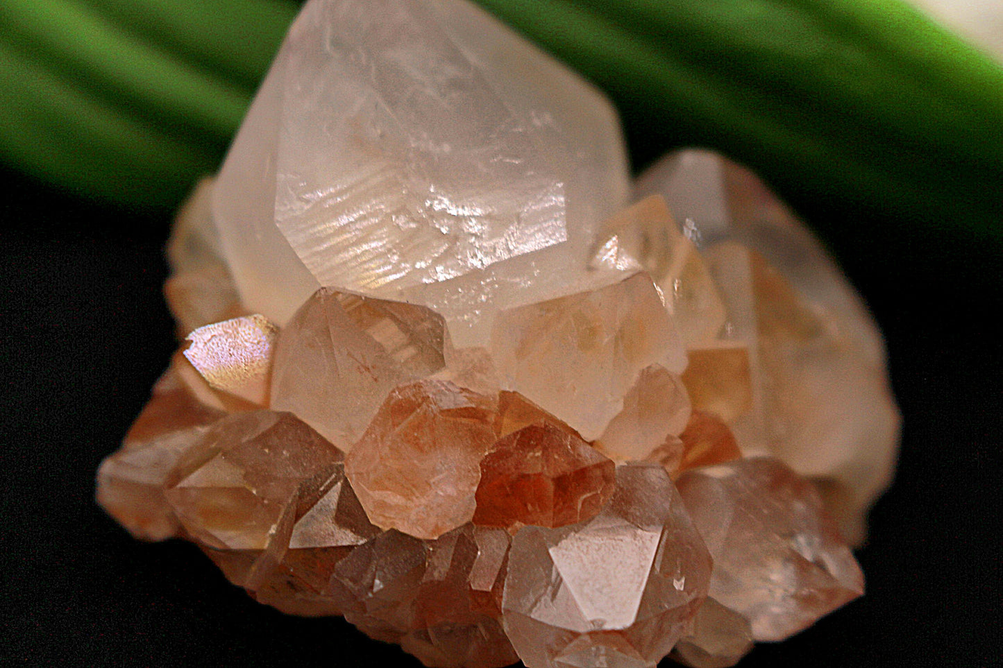 Quarz mit Hämatit und Mini Dendriten