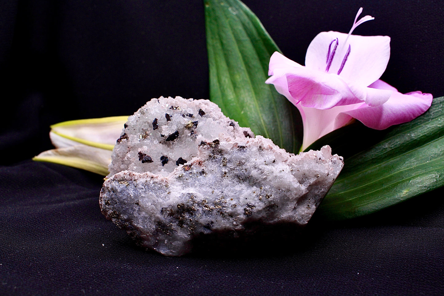 Quarzstufe mit Pyrit