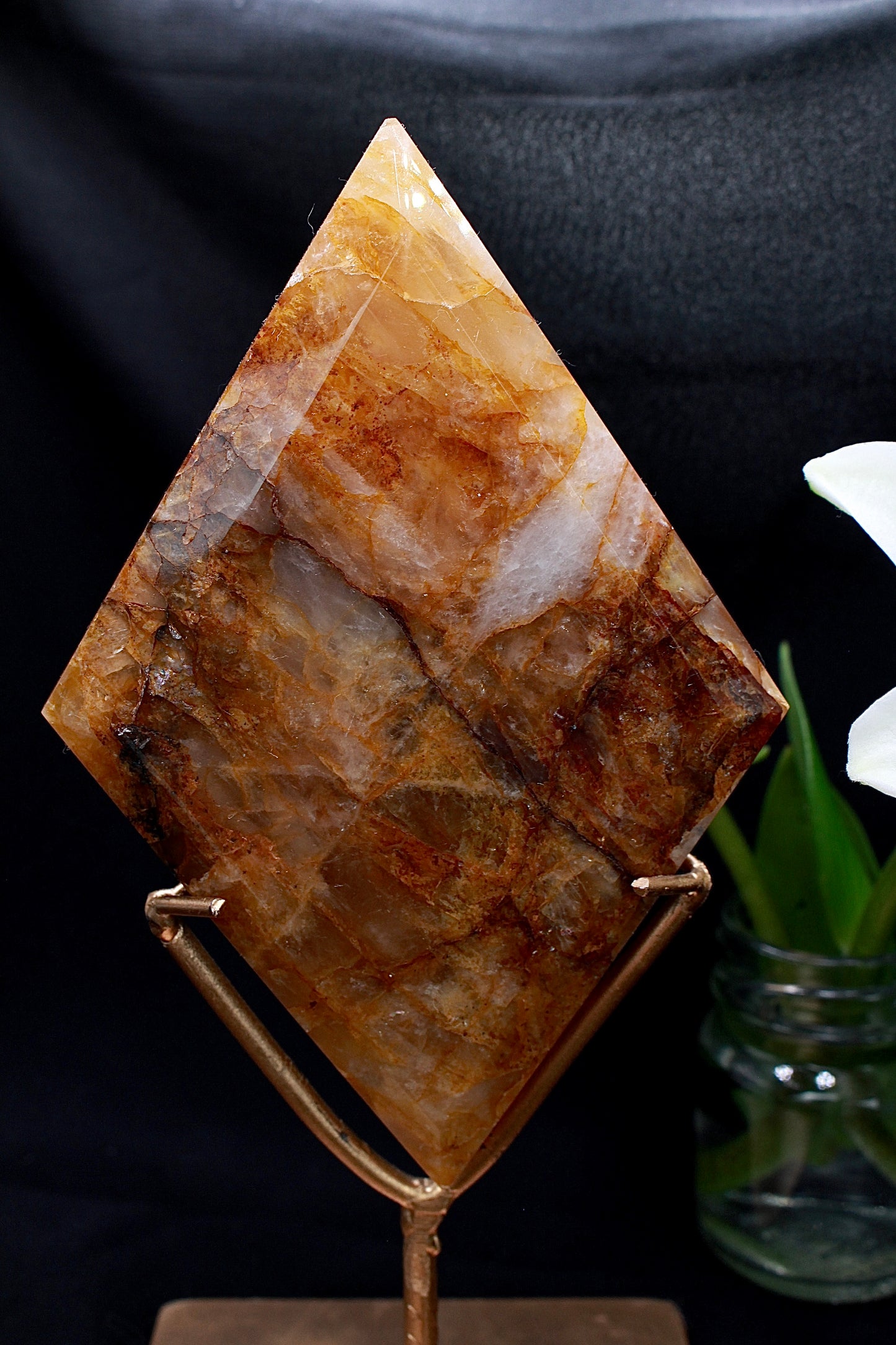 Golden Healer Raute auf Ständer