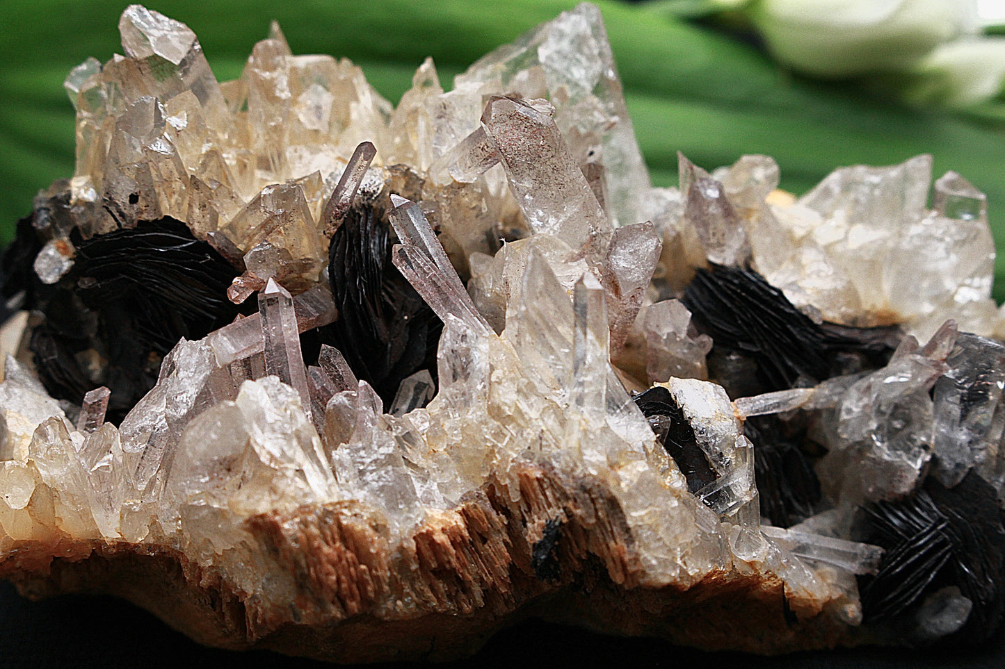 Bergkristall mit Hämatit Rose