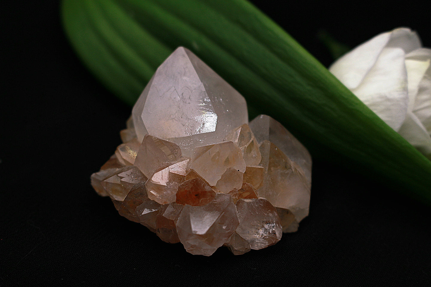 Quarz mit Hämatit und Mini Dendriten