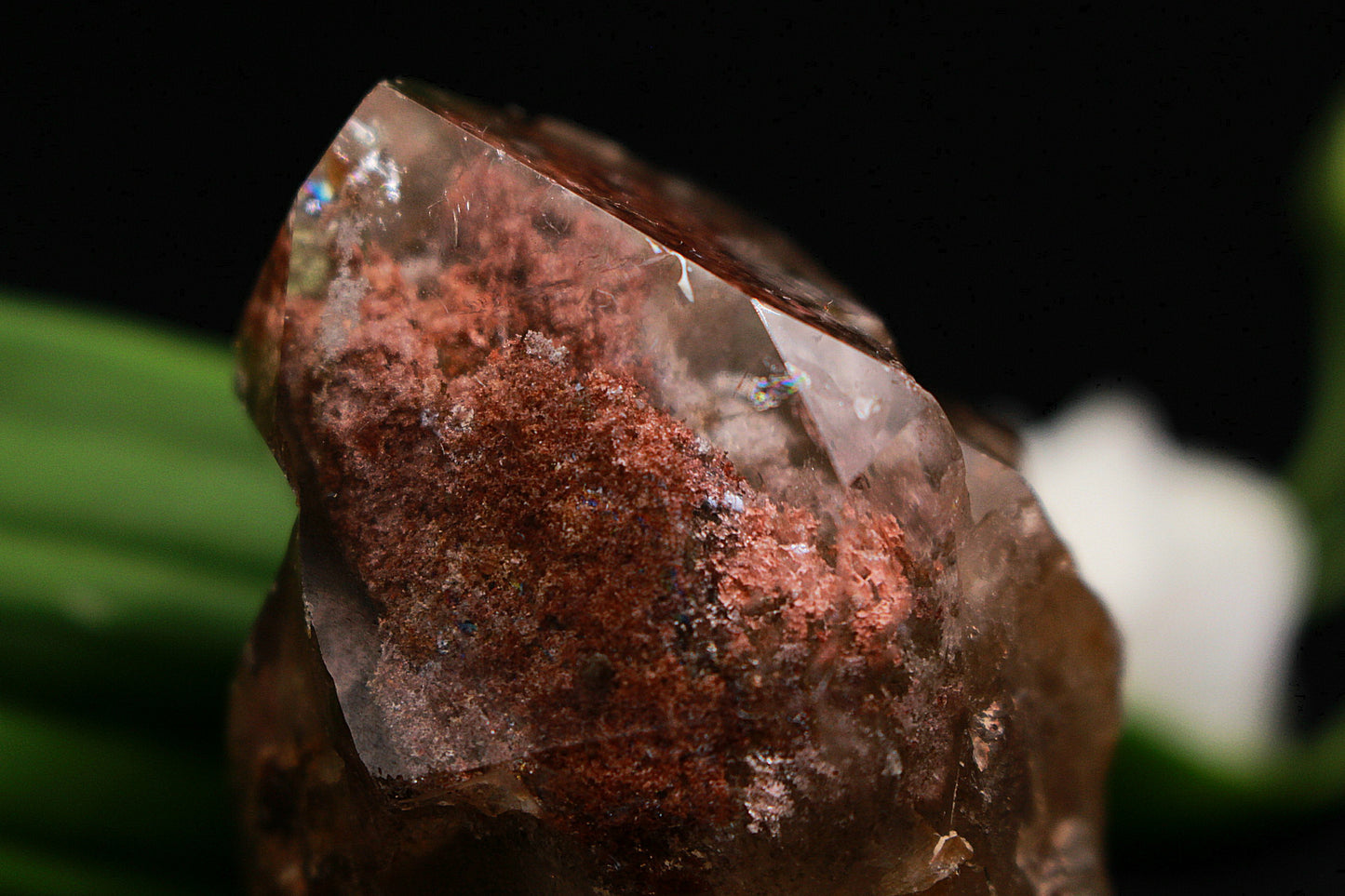 Gartenquarz Freiform, anpoliert