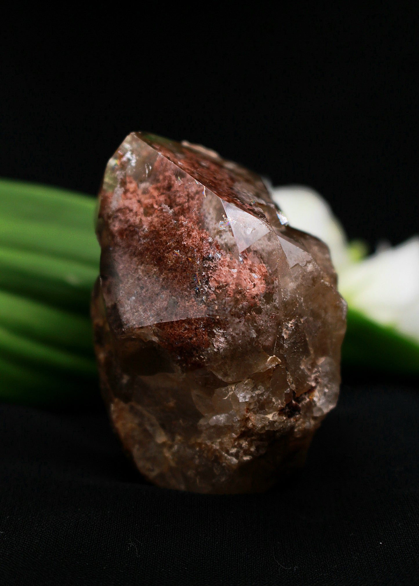 Gartenquarz Freiform, anpoliert