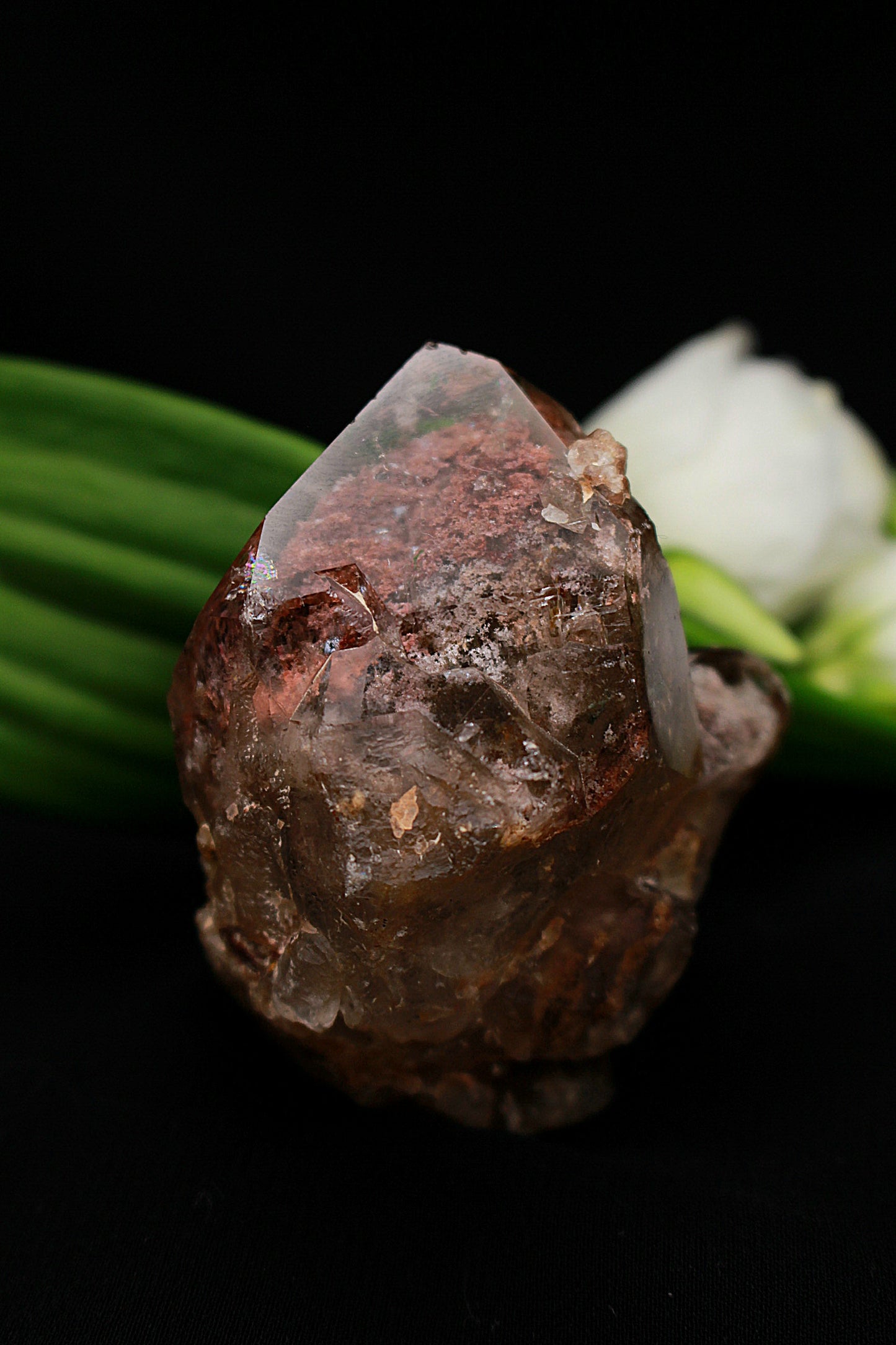 Gartenquarz Freiform, anpoliert