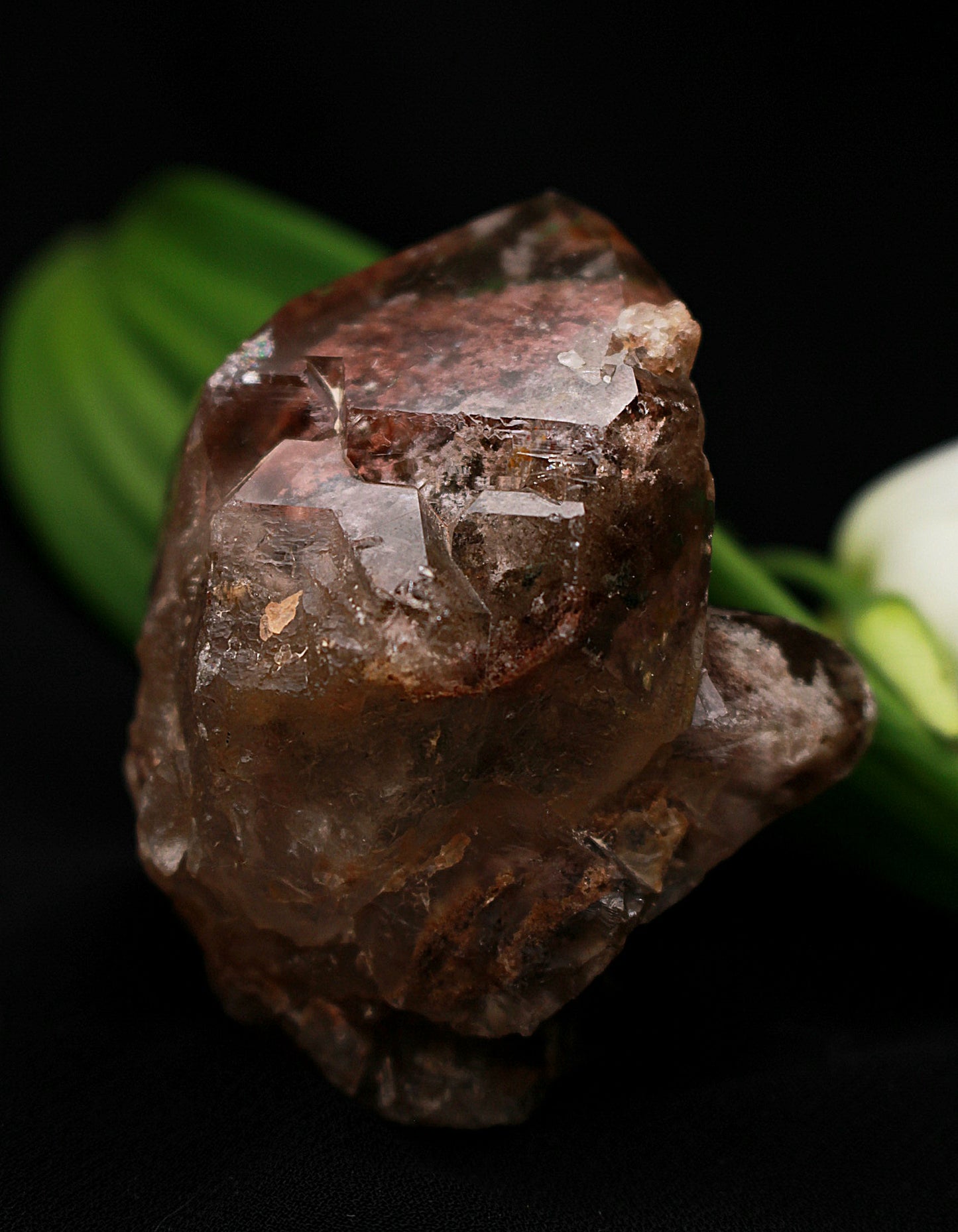 Gartenquarz Freiform, anpoliert