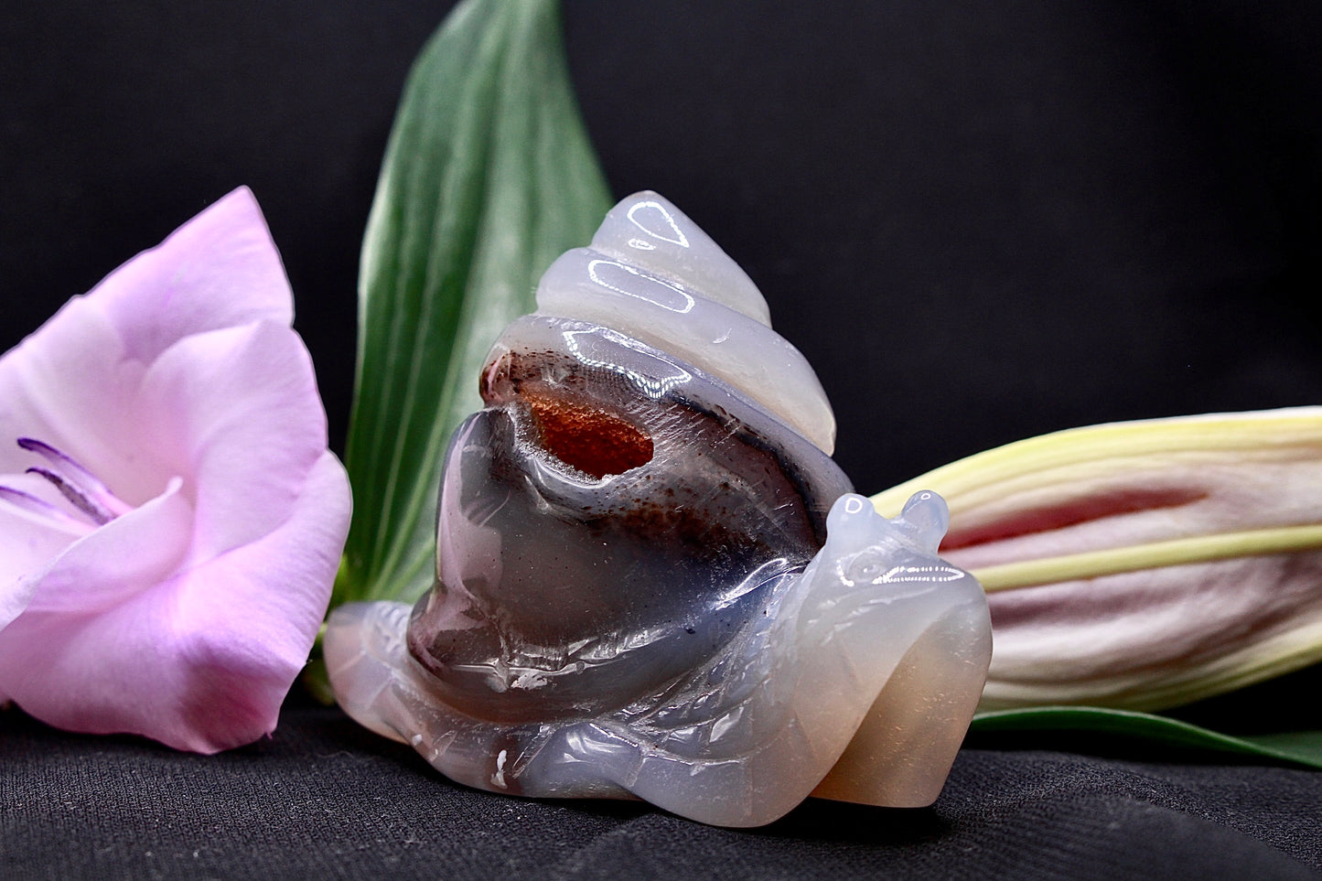 Achat Schnecke Carving