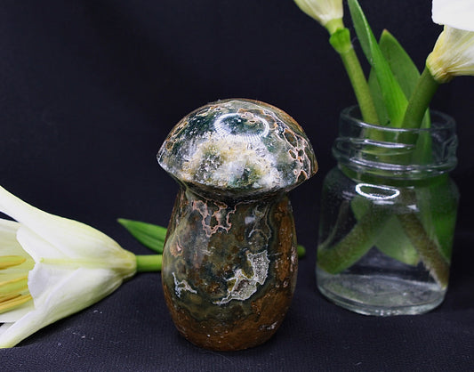 Ozean Jaspis Pilz mit feiner Drusenlandschaft