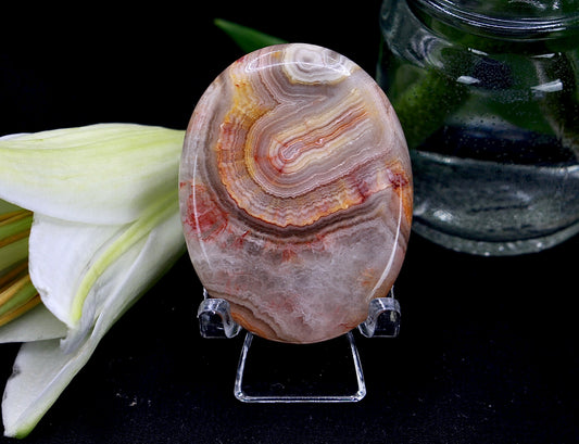 Crazy Lace Achat Daumenstein