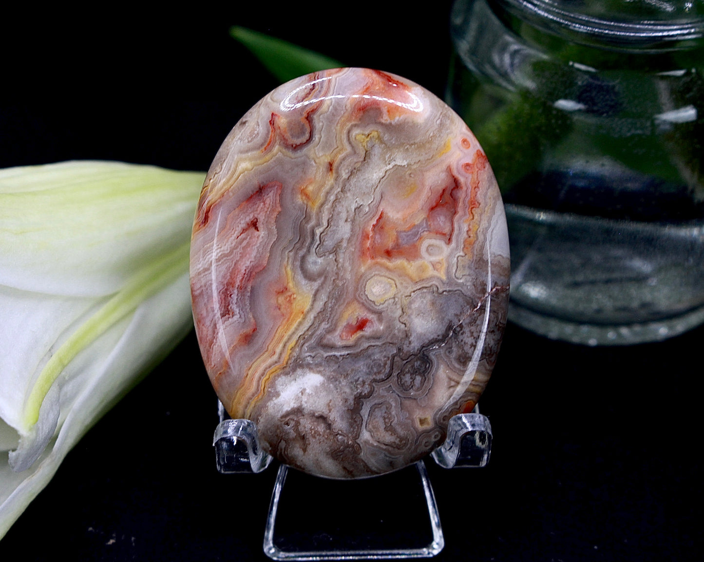 Crazy Lace Achat Daumenstein