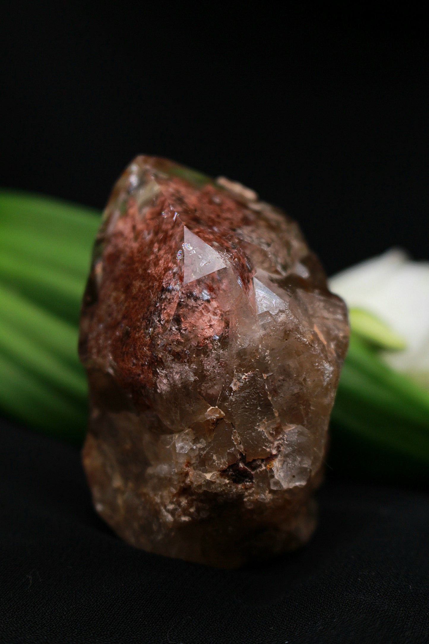 Gartenquarz Freiform, anpoliert